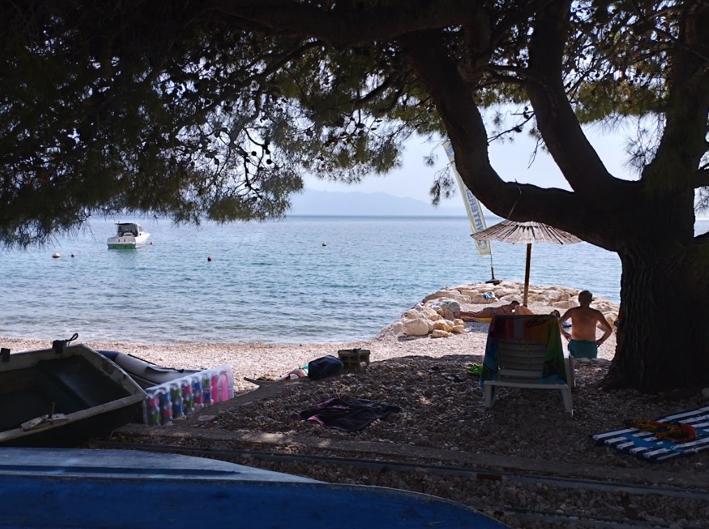 Podaca